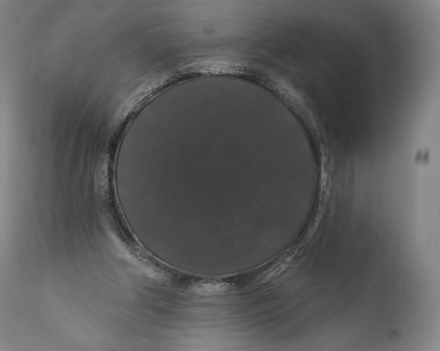 X0000110700202200907101229
