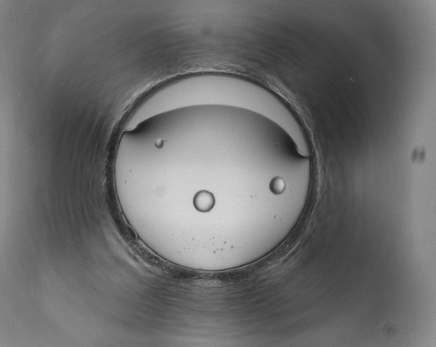 X0000110700203200907101229