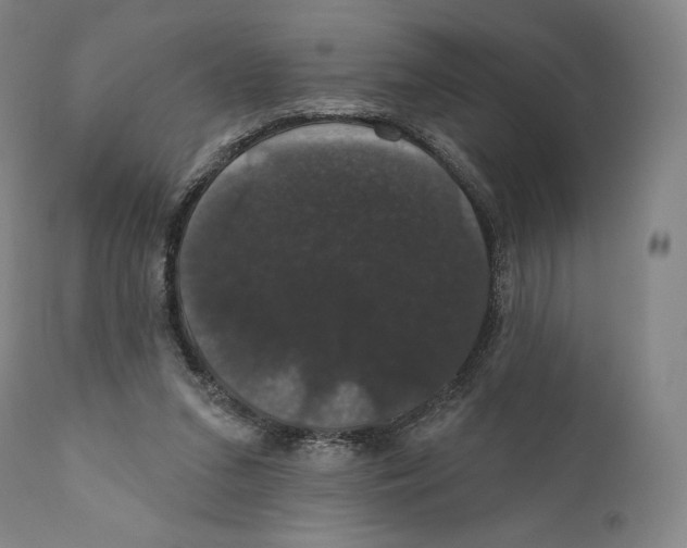 X0000110700207200907101229