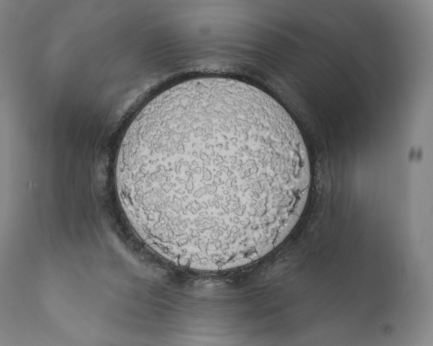 X0000110700208200907101229