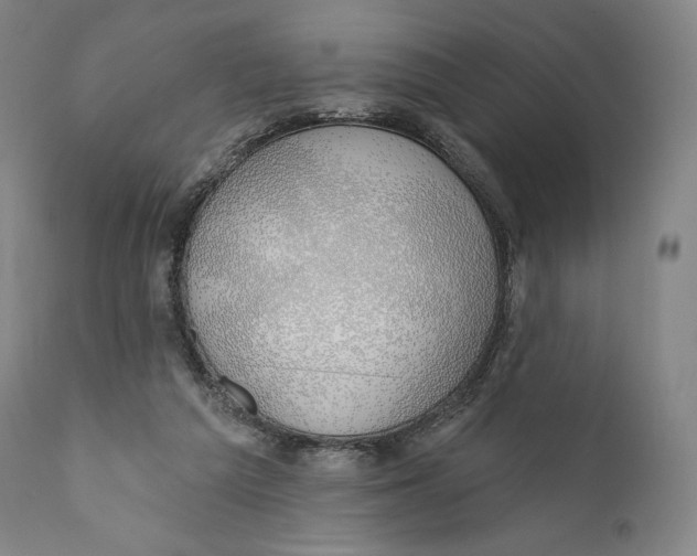 X0000110700209200907101229