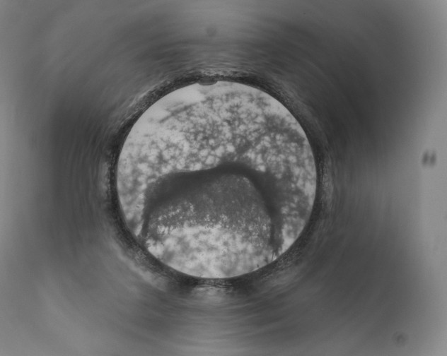 X0000110700211200907101229