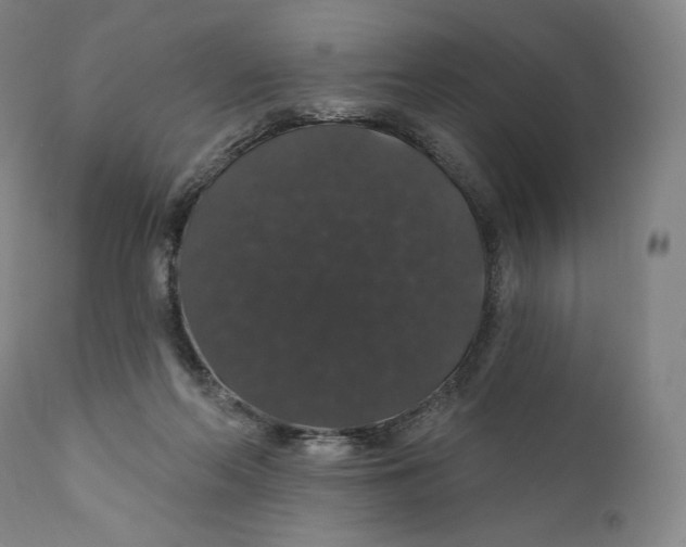 X0000110700214200907101228