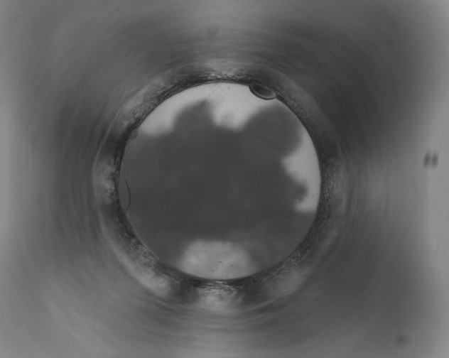 X0000110700215200907101228
