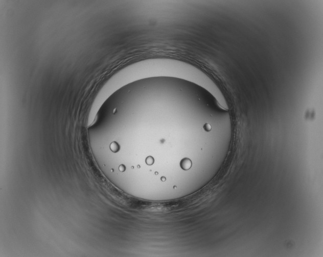 X0000110700217200907101228