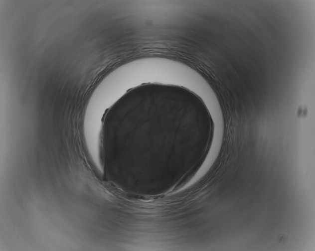X0000110700219200907101228