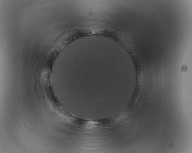 X0000110700222200907101228