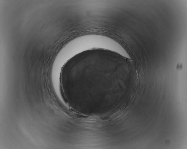 X0000110700223200907101228