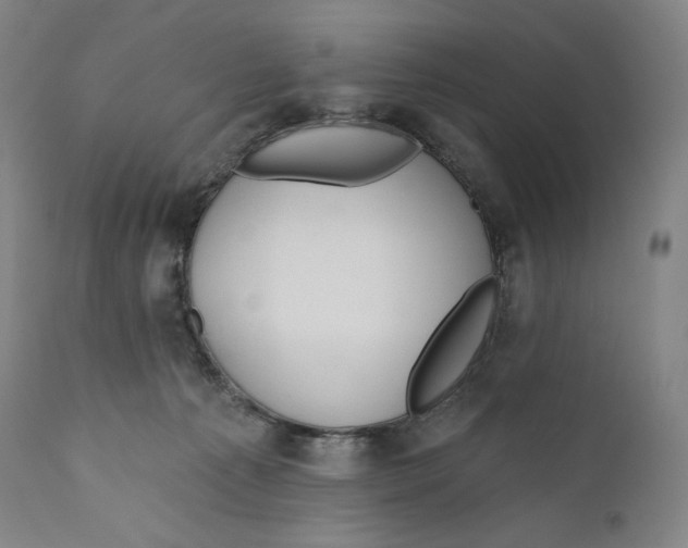 X0000110700225200907101228