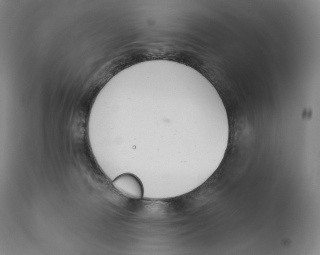 X0000110700226200907101228