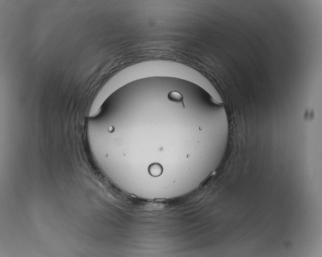 X0000110700227200907101228