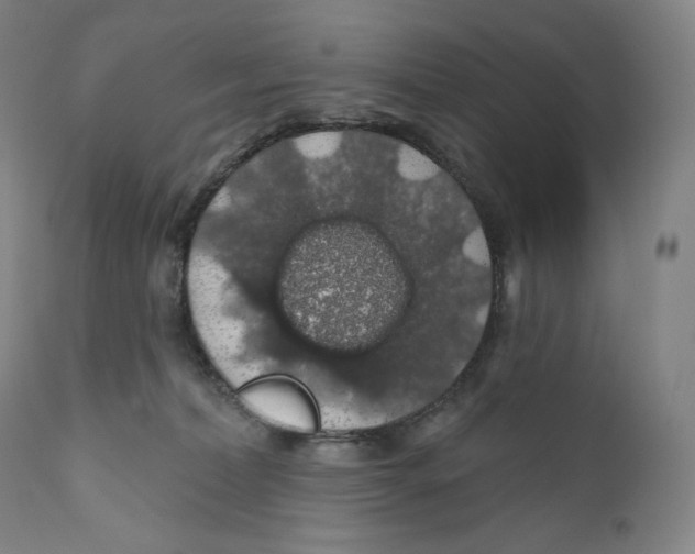 X0000110700228200907101228