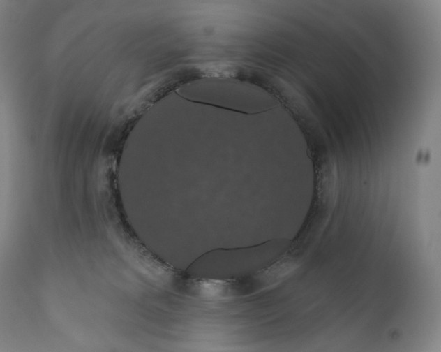 X0000110700229200907101228