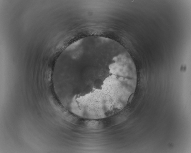 X0000110700230200907101228
