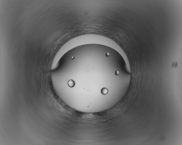 X0000110700231200907101228