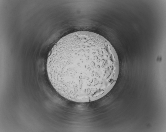 X0000110700232200907101228