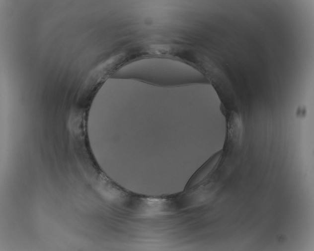 X0000110700233200907101228