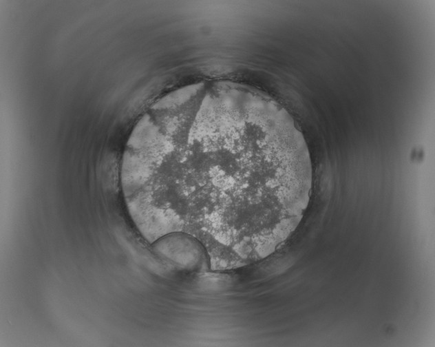 X0000110700234200907101228