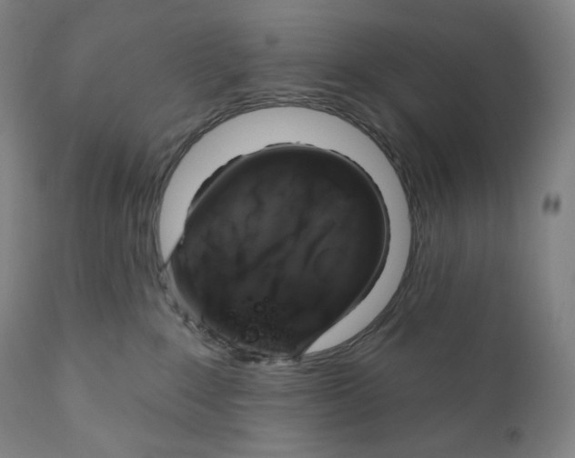 X0000110700235200907101228
