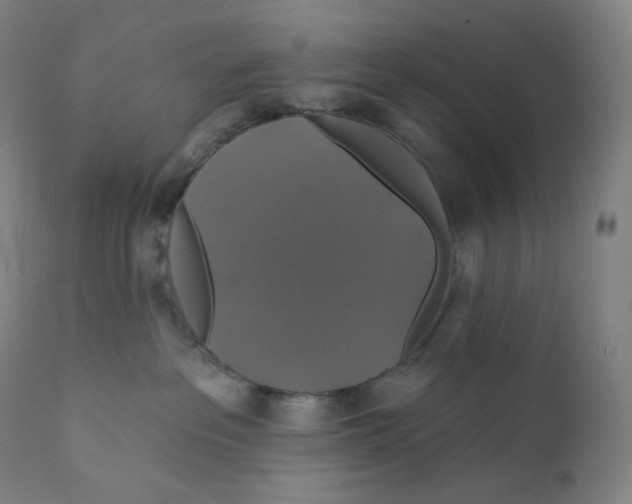 X0000110700237200907101228