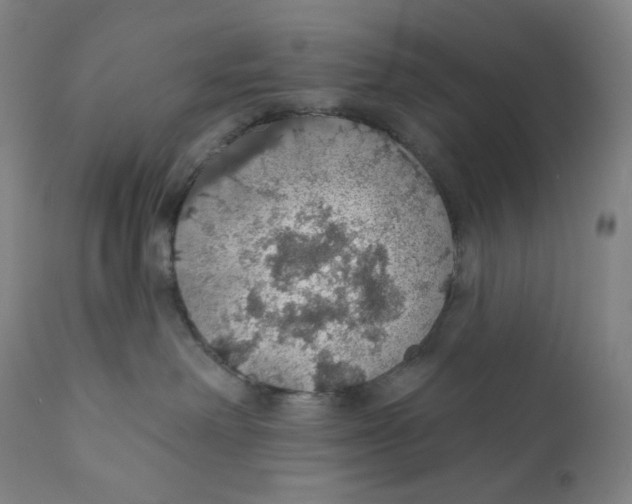 X0000110700238200907101228