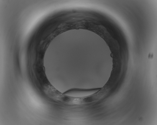 X0000110700239200907101228