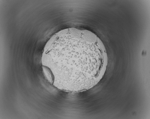 X0000110700240200907101228