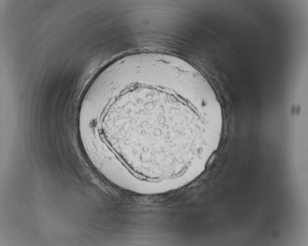 X0000110700241200907101227