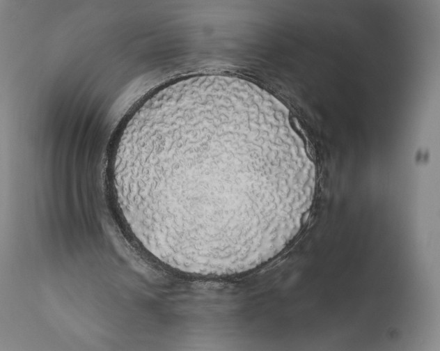 X0000110700242200907101227