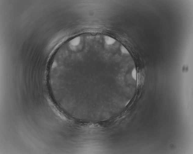 X0000110700243200907101227