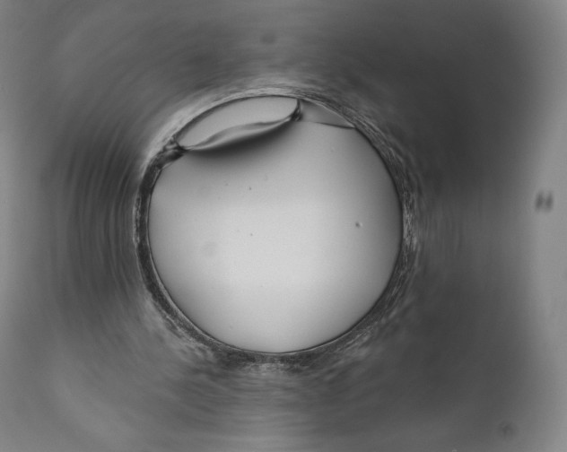 X0000110700244200907101228