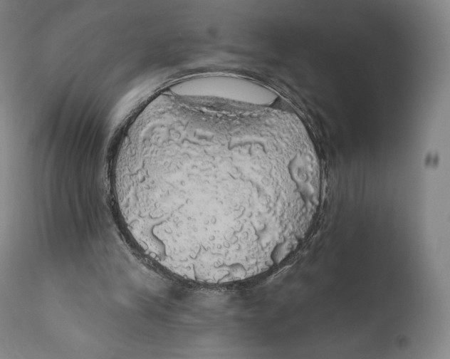X0000110700245200907101228