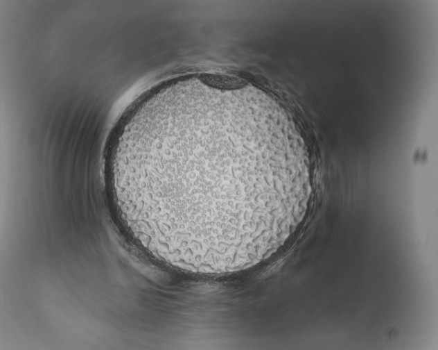 X0000110700246200907101228
