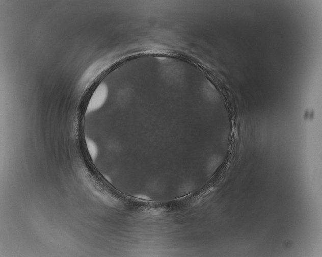 X0000110700247200907101228