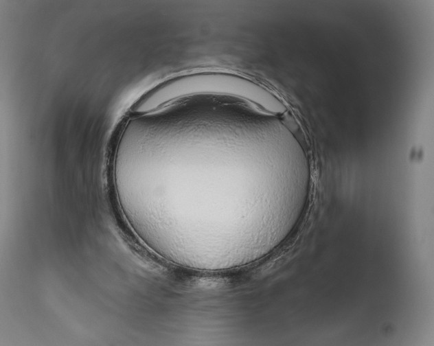 X0000110700248200907101228