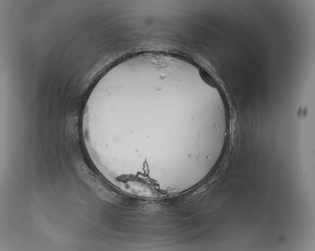 X0000110700249200907101228