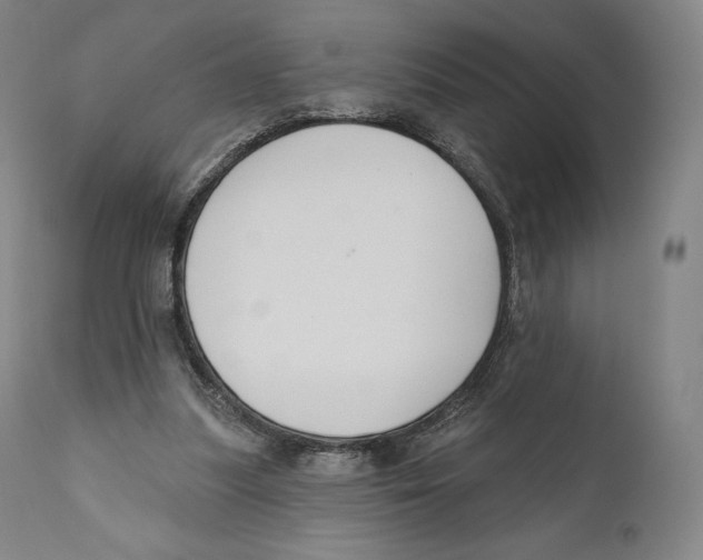 X0000110700251200907101228