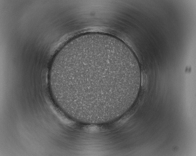 X0000110700253200907101228