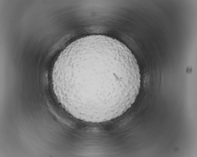 X0000110700254200907101228
