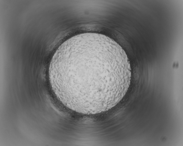 X0000110700255200907101228
