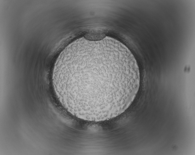 X0000110700258200907101228