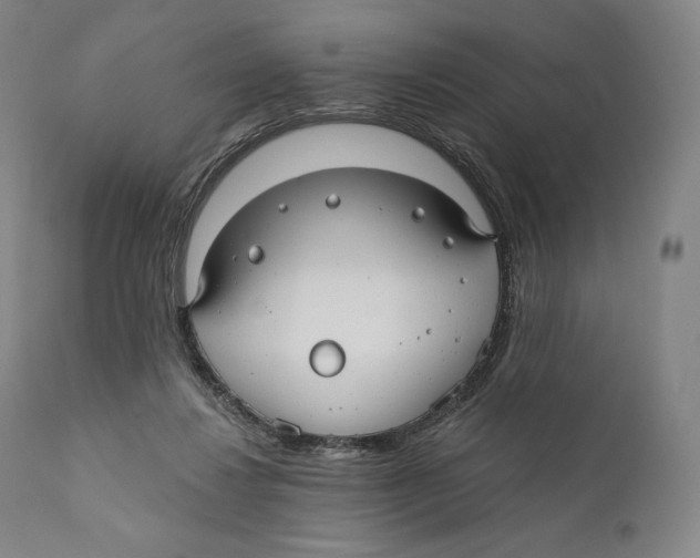 X0000110700260200907101228