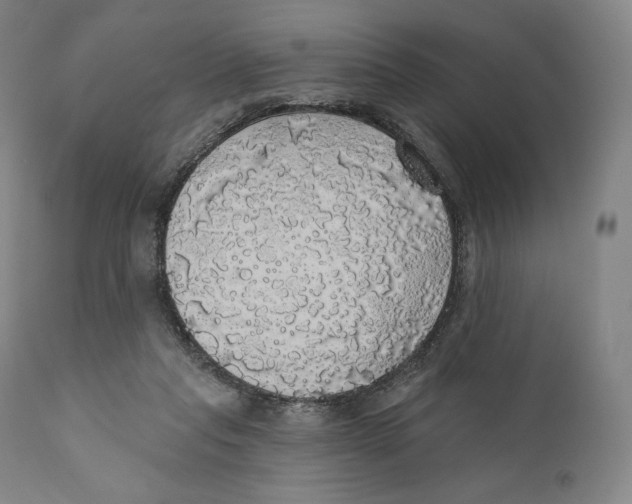 X0000110700261200907101228