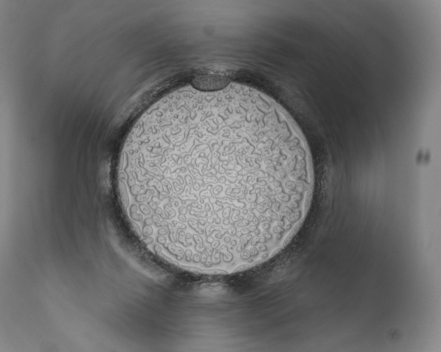 X0000110700262200907101228