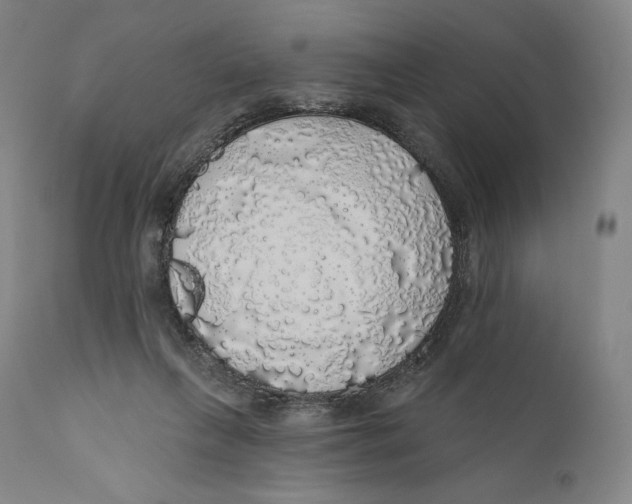 X0000110700263200907101228