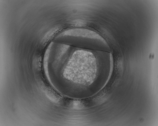 X0000110700264200907101228