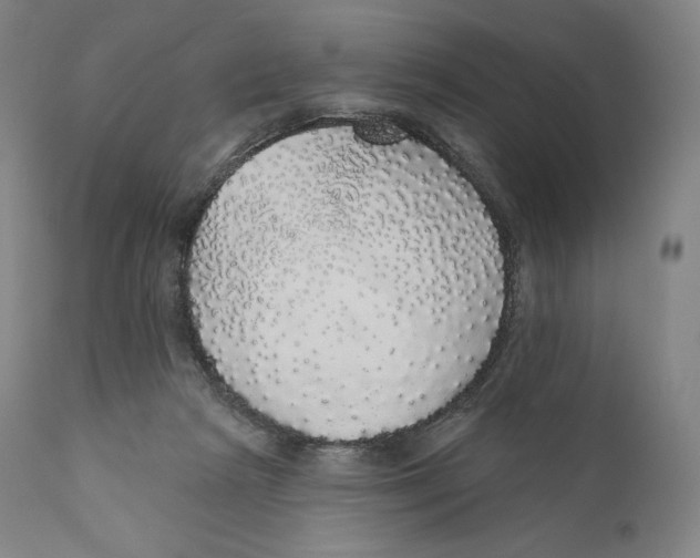 X0000110700265200907101228