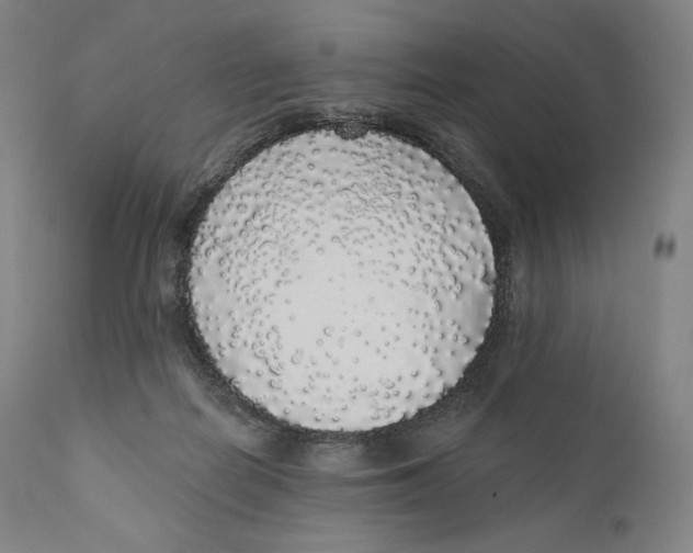 X0000110700266200907101228
