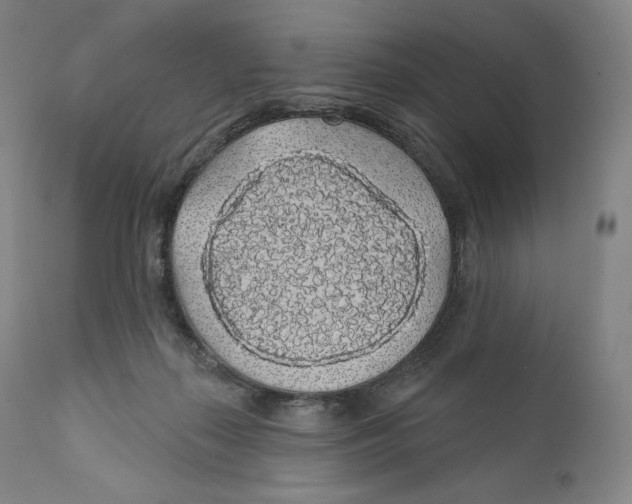 X0000110700267200907101228