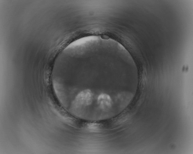 X0000110700268200907101228
